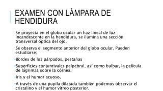 EXAMEN CON LÁMPARA DE
HENDIDURA
Se proyecta en el globo ocular un haz lineal de luz
incandescente en la hendidura, se ilumina una sección
transversal óptica del ojo.
Se observa el segmento anterior del globo ocular. Pueden
estudiarse:
•Bordes de los párpados, pestañas
•Superficies conjuntivales palpebral, así como bulbar, la película
de lágrimas sobre la córnea.
•Iris y el humor acuoso.
•A través de una pupila dilatada también podemos observar el
cristalino y el humor vítreo posterior.
 