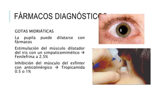 FÁRMACOS DIAGNÓSTICOS
GOTAS MIDRIÁTICAS
La pupila puede dilatarse con
fármacos
Estimulación del músculo dilatador
del iris con un simpaticomimético 
Fenilefrina a 2.5%
Inhibición del músculo del esfínter
con anticolinérgico  Tropicamida
0.5 o 1%
 