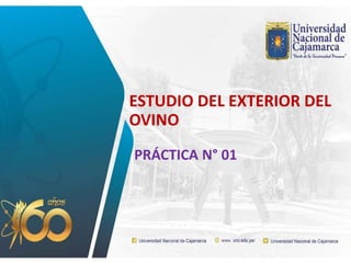 ESTUDIO DEL EXTERIOR DEL
OVINO
PRÁCTICA N° 01
 