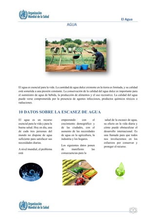 El Agua
2
AGUA
El agua es esencial para la vida. La cantidad de agua dulce existente en la tierra es limitada, y su calidad
está sometida a una presión constante. La conservación de la calidad del agua dulce es importante para
el suministro de agua de bebida, la producción de alimentos y el uso recreativo. La calidad del agua
puede verse comprometida por la presencia de agentes infecciosos, productos químicos tóxicos o
radiaciones.
10 DATOS SOBRE LA ESCASEZ DE AGUA
El agua es un recurso
esencial para la vida y para la
buena salud. Hoy en día, una
de cada tres personas del
mundo no dispone de agua
suficiente para satisfacer sus
necesidades diarias.
A nivel mundial, el problema
está
empeorando con el
crecimiento demográfico y
de las ciudades, con el
aumento de las necesidades
de agua en la agricultura, la
industria y los hogares.
Los siguientes datos ponen
de manifiesto las
consecuencias para la
salud de la escasez de agua,
su efecto en la vida diaria y
cómo puede obstaculizar el
desarrollo internacional. Es
una llamada para que todos
nos involucremos en los
esfuerzos por conservar y
proteger el recurso.
 