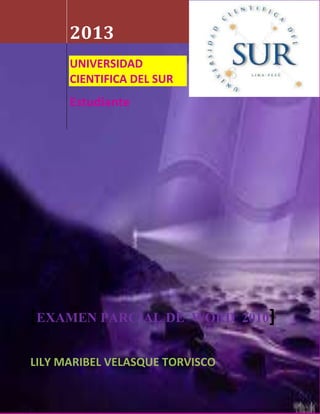 2013
UNIVERSIDAD
CIENTIFICA DEL SUR
Estudiante
[EXAMEN PARCIAL DE WORD 2010]
LILY MARIBEL VELASQUE TORVISCO
 