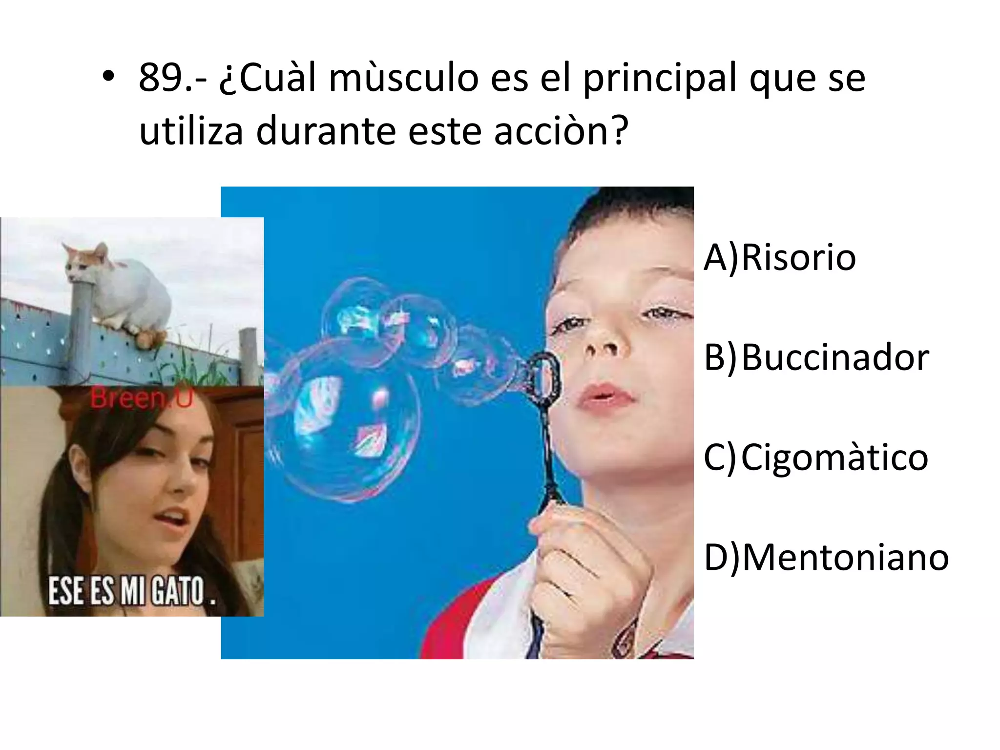 • 89.- ¿Cuàl mùsculo es el principal que se
utiliza durante este acciòn?
A)Risorio
B)Buccinador
C)Cigomàtico
D)Mentoniano
 