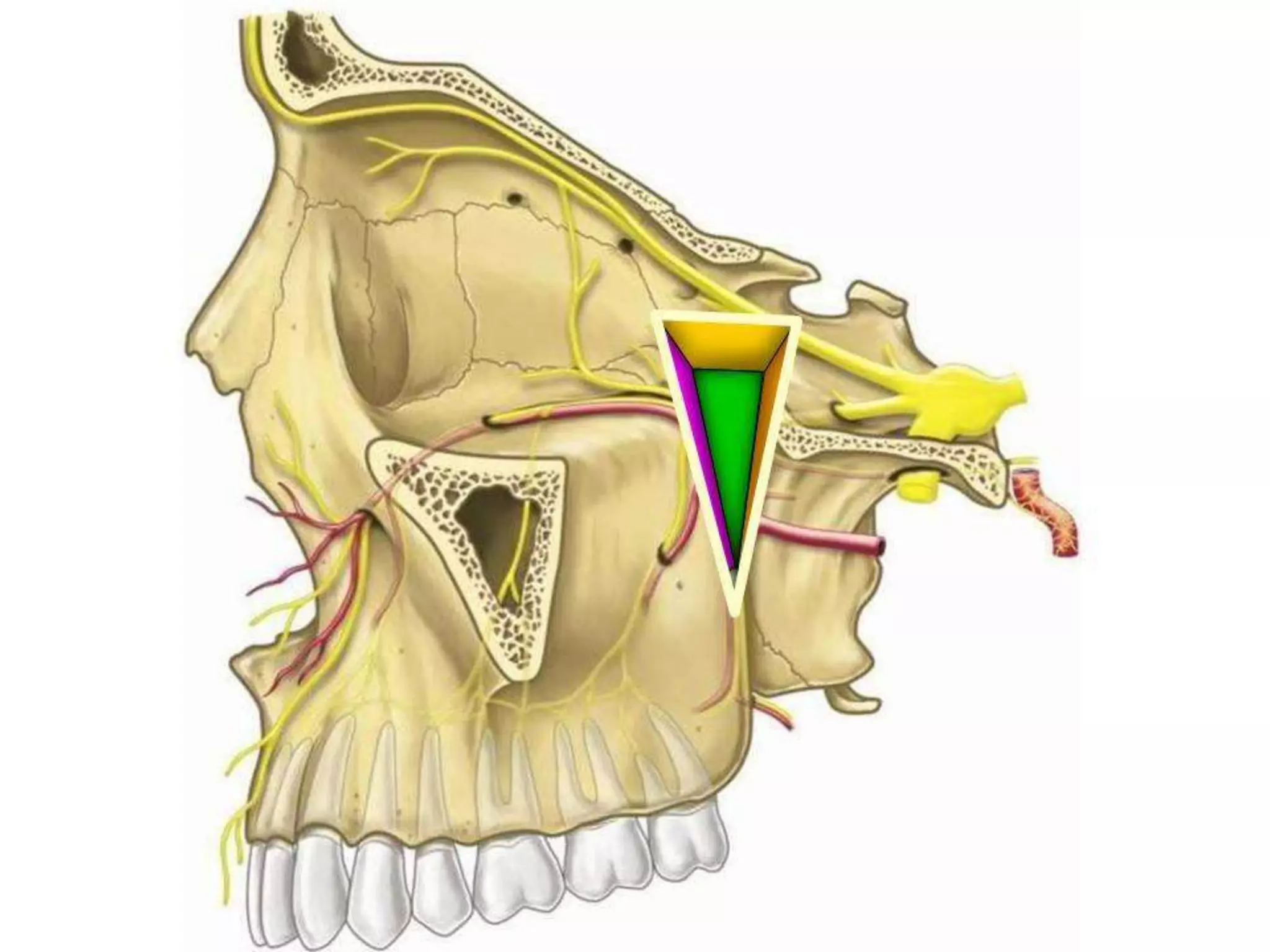 Examen pràctico bloque 1