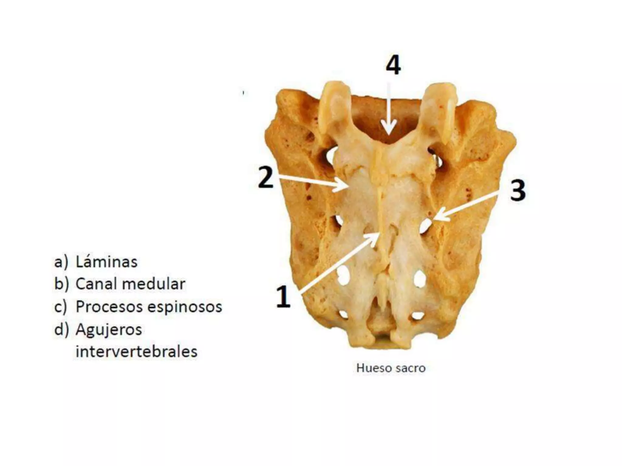 Examen pràctico bloque 1