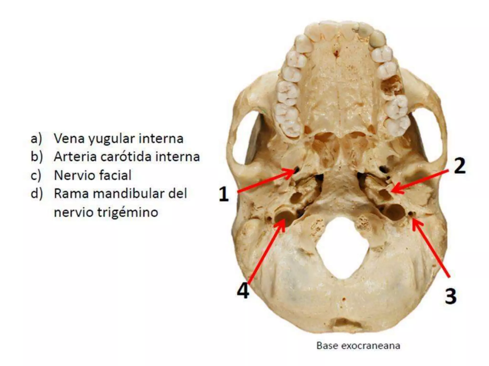 Examen pràctico bloque 1
