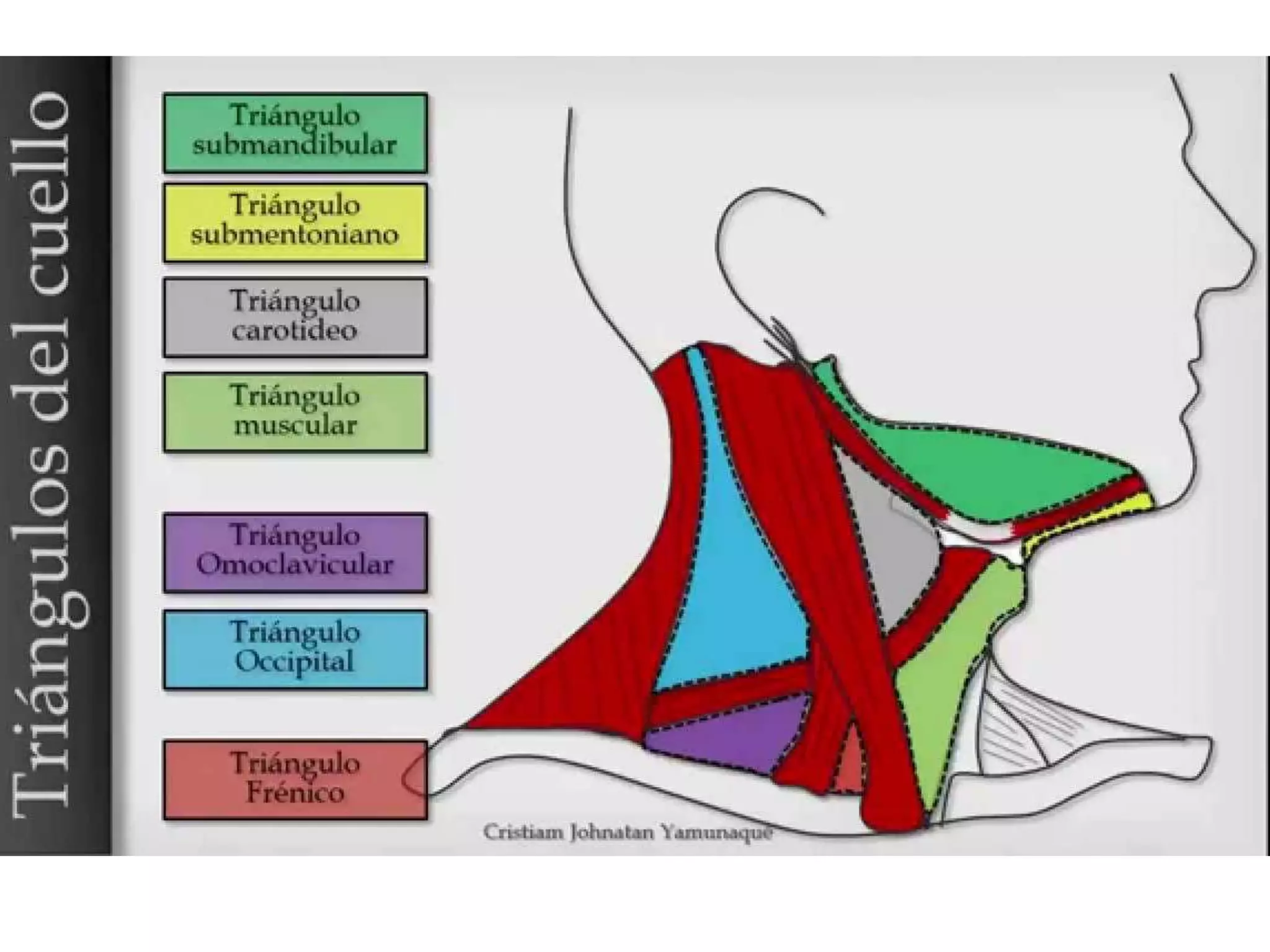 Examen pràctico bloque 1