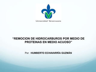 “REMOCION DE HIDROCARBUROS POR MEDIO DE
PROTEINAS EN MEDIO ACUOSO”
Por: HUMBERTO ECHAVARRÍA GUZMÁN
 