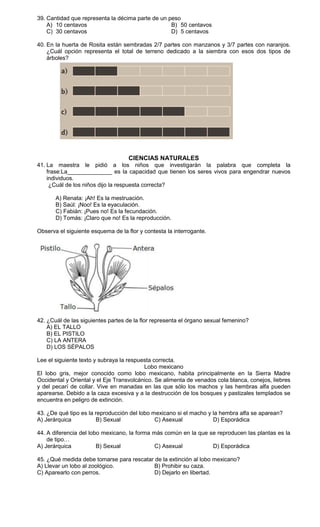 39. Cantidad que representa la décima parte de un peso
    A) 10 centavos                                 B) 50 centavos
    C) 30 centavos                                 D) 5 centavos

40. En la huerta de Rosita están sembradas 2/7 partes con manzanos y 3/7 partes con naranjos.
    ¿Cuál opción representa el total de terreno dedicado a la siembra con esos dos tipos de
    árboles?




                                    CIENCIAS NATURALES
41. La maestra le pidió a los niños que investigarán la palabra que completa la
    frase:La______________ es la capacidad que tienen los seres vivos para engendrar nuevos
    individuos.
     ¿Cuál de los niños dijo la respuesta correcta?

       A) Renata: ¡Ah! Es la mestruación.
       B) Saúl: ¡Noo! Es la eyaculación.
       C) Fabián: ¡Pues no! Es la fecundación.
       D) Tomás: ¡Claro que no! Es la reproducción.

Observa el siguiente esquema de la flor y contesta la interrogante.




42. ¿Cuál de las siguientes partes de la flor representa el órgano sexual femenino?
    A) EL TALLO
    B) EL PISTILO
    C) LA ANTERA
    D) LOS SÉPALOS

Lee el siguiente texto y subraya la respuesta correcta.
                                          Lobo mexicano
El lobo gris, mejor conocido como lobo mexicano, habita principalmente en la Sierra Madre
Occidental y Oriental y el Eje Transvolcánico. Se alimenta de venados cola blanca, conejos, liebres
y del pecarí de collar. Vive en manadas en las que sólo los machos y las hembras alfa pueden
aparearse. Debido a la caza excesiva y a la destrucción de los bosques y pastizales templados se
encuentra en peligro de extinción.

43. ¿De qué tipo es la reproducción del lobo mexicano si el macho y la hembra alfa se aparean?
A) Jerárquica          B) Sexual              C) Asexual            D) Esporádica

44. A diferencia del lobo mexicano, la forma más común en la que se reproducen las plantas es la
    de tipo…
A) Jerárquica           B) Sexual             C) Asexual          D) Esporádica

45. ¿Qué medida debe tomarse para rescatar de la extinción al lobo mexicano?
A) Llevar un lobo al zoológico.            B) Prohibir su caza.
C) Aparearlo con perros.                   D) Dejarlo en libertad.
 