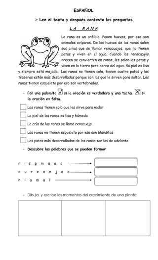 ESPAÑOL

               Lee el texto y después contesta las preguntas.

                                           L A   R A N A

                                  La rana es un anfibio. Ponen huevos, por eso son
                                  animales ovíparos. De los huevos de las ranas salen
                                  sus crías que se llaman renacuajos, que no tienen
                                  patas y viven en el agua. Cuando los renacuajos
                                  crecen se convierten en ranas, les salen las patas y
                                  viven en la tierra pero cerca del agua. Su piel es lisa
y siempre está mojada. Las ranas no tienen cola, tienen cuatro patas y las
traseras están más desarrolladas porque son las que le sirven para saltar. Las
ranas tienen esqueleto por eso son vertebradas.

    - Pon una palomita                si la oración es verdadera y una tacha        si
        la oración es falsa.

        Las ranas tienen cola que les sirve para nadar

        La piel de las ranas es lisa y húmeda

        La cría de las ranas se llama renacuajo

        Las ranas no tienen esqueleto por eso son blanditas

        Las patas más desarrolladas de las ranas son las de adelante

    - Descubre las palabras que se pueden formar


r   i s       p       m   a   a   o

c   u     r       e   a   n   j   o    a

n   i    a    m       a   l



    - Dibuja y escribe los momentos del crecimiento de una planta.
 