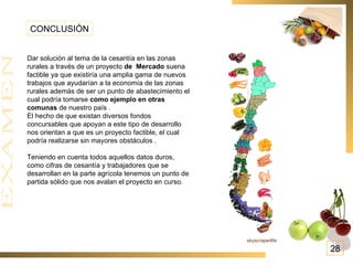 CONCLUSIÓN Dar solución al tema de la cesantía en las zonas rurales a través de un proyecto  de  Mercado  suena factible ya que existiría una amplia gama de nuevos trabajos que ayudarían a la economía de las zonas rurales además de ser un punto de abastecimiento el cual podría tomarse  como ejemplo en otras comunas  de nuestro país . El hecho de que existan diversos fondos concursables que apoyan a este tipo de desarrollo nos orientan a que es un proyecto factible, el cual  podría realizarse sin mayores obstáculos . Teniendo en cuenta todos aquellos datos duros, como cifras de cesantía y trabajadores que se desarrollan en la parte agrícola tenemos un punto de partida sólido que nos avalan el proyecto en curso.  28 skyscraperlife 