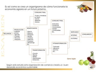 PRODUCCIÓN: (materias  primas) -Agrícola -Forestal -Pecuaria -Pesquera BENEFICIADOS: -Aserrío -Matanza -Desgrane -Secado -Limpieza -Selección -Empaque -Almacenaje Etc.. CONSUMO FINAL: -Frutas y Hortalizas en frasco -Carnes -Maderas -Granos TRANSFORMACIÓN -Cocción -Mezcla -Molido -Deshidratado -Extracción. CONSUMO FINAL: -Embutidos -Conservas -Concentrados -Aceites -Combustibles Etc.. ATRANSFORMACIÓN: -Texturado -Alteración -Química Etc… MERCADEO INTERNO EXTERNO CONDUMIDOR Gerra Agilar Es así como se crea un organigrama de cómo funcionaria la  economía agraria en un futuro próximo. RECURSOS Según este estudio esta organización de comercio crearía un  buen desarrollo económico sustentable 45 