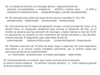 53- La células de Schwan y la microglia derivan respectivamente de:
a)celulas neuroepiteliales, y endodermo b)CCN y medula osea c) CCN y
mesodermo extraembrionario d)oligodendroglia y celulas neuroepiteliales
54- De esta estructura salen las raíces de los nervios craneales VI, VII y VIII:
a)mielencefalo b)telencefalo c)mesencefalo d)metencefalo
55- Una paciente con 6 meses de gestación acude a control prenatal de rutina, se le
decide hacer un ultrasonido abdominal para veriﬁcar el desarrollo del feto, en el
monitor se observa que hay extrusión de meninges, y tejido medular a nivel de T5-T8,
en paraclinicos se muestra un leve incremento del liquido amniótico y hay alfa-feto-
proteina elevada. El diagnostico que usted debe de dar es:
a)meningocele b)espina biﬁda oculta c)mielomeningocele c)raquisquisis
56- Paciente masculino de 19 años de edad, llega a urgencias con paro respiratorio
secundario a un trauma craneo encefálico penetrante, por lo anterior usted que
estructura piensa se vio comprometida?
a) metencefalo b) pedúnculos c) medula oblongada d)diencefalo
57- Correspondiendo a lo anterior, que núcleo neuronal seria el afectado:
a) ventral visceral especial b) sensitivo visceral somatico c) motor especial general
d) dorsal especial somatico
 