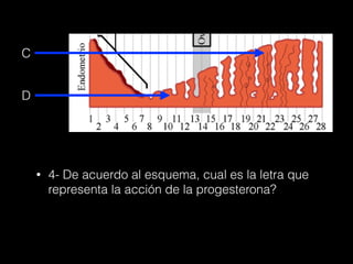 C
D
• 4- De acuerdo al esquema, cual es la letra que
representa la acción de la progesterona?
 