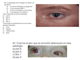 91- Cual fue el gen que se encontró defectuoso en esta
patología:
a) pax 6
b) pax 5
c) Sox 1
d) pax 2
90- La patología de la imagen se debe a lo
siguiente:
a) la arteria hialiodea no degenero
b) no se expreso BMP 7
c) la ﬁsura coroidea no se fusiono
d) no se genero el cristalino
-Gen implicado en dicha patologia:
a) pax 6
b) pax 5
c) Sox 1
d) Pax 2
-Cual órgano posiblemente se encuentre
también afectado:
a) riñon
b) hígado
c) mielencefalo
d) bazo
 