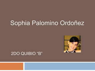 Sophia Palomino Ordoñez



2DO QUIBIO “B”
 