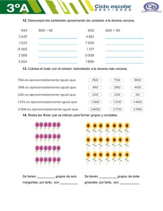 12. Descompón las cantidades aproximando las unidades a la decena cercana.
13. Colorea el óvalo con el número redondeado a la decena más cercana.
14. Rodea las flores que se indican para formar grupos y completa.
Se tienen __________ grupos de seis Se tienen __________ grupos de siete
margaritas; por tanto, son __________ girasoles: por tanto, son ___________
 