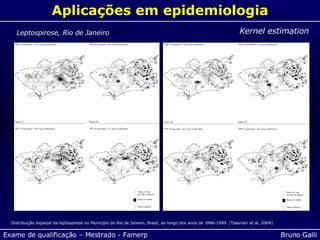 Aplicações em epidemiologia Kernel estimation Distribuição espacial da leptospirose no Município do Rio de Janeiro, Brasil, ao longo dos anos de 1996-1999. (Tassinari et al, 2004) Leptospirose, Rio de Janeiro 