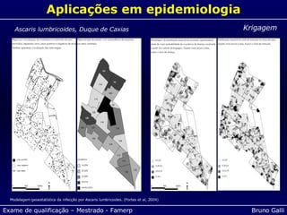 Aplicações em epidemiologia Krigagem Modelagem geoestatística da infecção por Ascaris lumbricoides. (Fortes et al, 2004) Ascaris lumbricoides, Duque de Caxias 