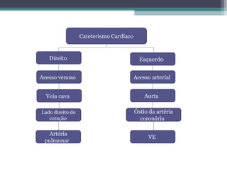 Cateterismo Cardíaco
Direito Esquerd0
Acesso venoso Acesso arterial
Veia cava Aorta
Lado direito do
coração
Óstio da artéria
coronária
Artéria
pulmonar
VE
 