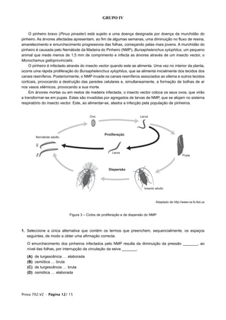 GRUPO IV


     O pinheiro bravo (Pinus pinaster) está sujeito a uma doença designada por doença da murchidão do
pinheiro. As árvores afectadas apresentam, ao fim de algumas semanas, uma diminuição no fluxo de resina,
amarelecimento e emurchecimento progressivos das folhas, começando pelas mais jovens. A murchidão do
pinheiro é causada pelo Nemátode da Madeira do Pinheiro (NMP), Bursaphelenchus xylophilus, um pequeno
animal que mede menos de 1,5 mm de comprimento e infecta as árvores através de um insecto vector, o
Monochamus galloprovincialis.
     O pinheiro é infectado através do insecto vector quando este se alimenta. Uma vez no interior da planta,
ocorre uma rápida proliferação do Bursaphelenchus xylophilus, que se alimenta inicialmente dos tecidos dos
canais resiníferos. Posteriormente, o NMP invade os canais resiníferos associados ao xilema e outros tecidos
corticais, provocando a destruição das paredes celulares e, simultaneamente, a formação de bolhas de ar
nos vasos xilémicos, provocando a sua morte.
     Em árvores mortas ou em restos de madeira infectada, o insecto vector coloca os seus ovos, que virão
a transformar-se em pupas. Estas são invadidas por agregados de larvas de NMP, que se alojam no sistema
respiratório do insecto vector. Este, ao alimentar-se, alastra a infecção pela população de pinheiros.




                                                                                  Adaptado de http://www.na.fs.fed.us



                            Figura 3 – Ciclos de proliferação e de dispersão do NMP



1. Seleccione a única alternativa que contém os termos que preenchem, sequencialmente, os espaços
   seguintes, de modo a obter uma afirmação correcta.

   O emurchecimento dos pinheiros infectados pelo NMP resulta da diminuição da pressão _______, ao
   nível das folhas, por interrupção da circulação da seiva _______.

   (A)   de turgescência … elaborada
   (B)   osmótica … bruta
   (C)   de turgescência … bruta
   (D)   osmótica … elaborada




Prova 702.V2 • Página 12/ 15
 