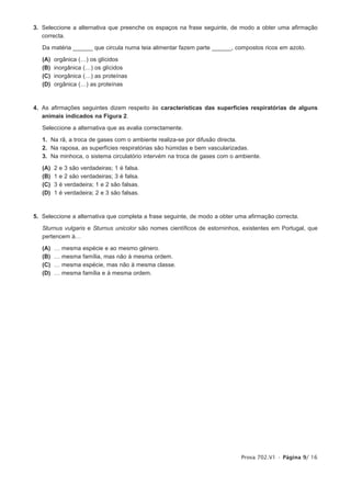 3. Seleccione a alternativa que preenche os espaços na frase seguinte, de modo a obter uma afirmação
   correcta.

   Da matéria ______ que circula numa teia alimentar fazem parte ______, compostos ricos em azoto.

   (A)   orgânica (…) os glícidos
   (B)   inorgânica (…) os glícidos
   (C)   inorgânica (…) as proteínas
   (D)   orgânica (…) as proteínas



4. As afirmações seguintes dizem respeito às características das superfícies respiratórias de alguns
   animais indicados na Figura 2.

   Seleccione a alternativa que as avalia correctamente.

   1. Na rã, a troca de gases com o ambiente realiza-se por difusão directa.
   2. Na raposa, as superfícies respiratórias são húmidas e bem vascularizadas.
   3. Na minhoca, o sistema circulatório intervém na troca de gases com o ambiente.

   (A)   2   e   3 são verdadeiras; 1 é falsa.
   (B)   1   e   2 são verdadeiras; 3 é falsa.
   (C)   3   é   verdadeira; 1 e 2 são falsas.
   (D)   1   é   verdadeira; 2 e 3 são falsas.



5. Seleccione a alternativa que completa a frase seguinte, de modo a obter uma afirmação correcta.

   Sturnus vulgaris e Sturnus unicolor são nomes científicos de estorninhos, existentes em Portugal, que
   pertencem à…

   (A)   …   mesma      espécie e ao mesmo género.
   (B)   …   mesma      família, mas não à mesma ordem.
   (C)   …   mesma      espécie, mas não à mesma classe.
   (D)   …   mesma      família e à mesma ordem.




                                                                            Prova 702.V1 • Página 9/ 16
 
