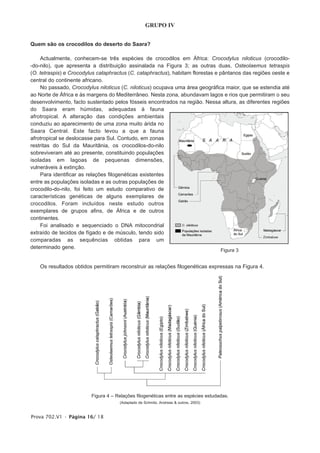GRUPO IV


Quem são os crocodilos do deserto do Saara?

    Actualmente, conhecem-se três espécies de crocodilos em África: Crocodylus niloticus (crocodilo-
-do-nilo), que apresenta a distribuição assinalada na Figura 3; as outras duas, Osteolaemus tetraspis
(O. tetraspis) e Crocodylus cataphractus (C. cataphractus), habitam florestas e pântanos das regiões oeste e
central do continente africano.
    No passado, Crocodylus niloticus (C. niloticus) ocupava uma área geográfica maior, que se estendia até
ao Norte de África e às margens do Mediterrâneo. Nesta zona, abundavam lagos e rios que permitiram o seu
desenvolvimento, facto sustentado pelos fósseis encontrados na região. Nessa altura, as diferentes regiões
do Saara eram húmidas, adequadas à fauna
afrotropical. A alteração das condições ambientais
conduziu ao aparecimento de uma zona muito árida no
Saara Central. Este facto levou a que a fauna
afrotropical se deslocasse para Sul. Contudo, em zonas
restritas do Sul da Mauritânia, os crocodilos-do-nilo
sobreviveram até ao presente, constituindo populações
isoladas em lagoas de pequenas dimensões,
vulneráveis à extinção.
    Para identificar as relações filogenéticas existentes
entre as populações isoladas e as outras populações de
crocodilo-do-nilo, foi feito um estudo comparativo de
características genéticas de alguns exemplares de
crocodilos. Foram incluídos neste estudo outros
exemplares de grupos afins, de África e de outros
continentes.
    Foi analisado e sequenciado o DNA mitocondrial
extraído de tecidos de fígado e de músculo, tendo sido
comparadas as sequências obtidas para um
determinado gene.
                                                                                     Figura 3


    Os resultados obtidos permitiram reconstruir as relações filogenéticas expressas na Figura 4.




                         Figura 4 – Relações filogenéticas entre as espécies estudadas.
                                     (Adaptado de Schmitz, Andreas & outros, 2003)


Prova 702.V1 • Página 16/ 18
 