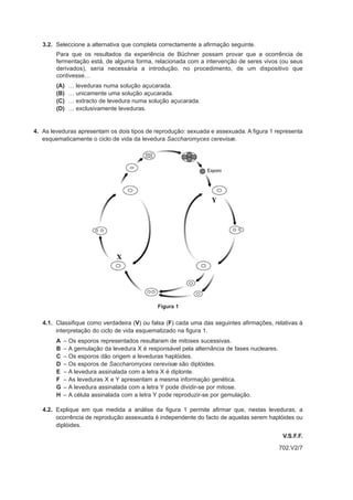 3.2. Seleccione a alternativa que completa correctamente a afirmação seguinte.
        Para que os resultados da experiência de Büchner possam provar que a ocorrência de
        fermentação está, de alguma forma, relacionada com a intervenção de seres vivos (ou seus
        derivados), seria necessária a introdução, no procedimento, de um dispositivo que
        contivesse…
        (A)   …   leveduras numa solução açucarada.
        (B)   …   unicamente uma solução açucarada.
        (C)   …   extracto de levedura numa solução açucarada.
        (D)   …   exclusivamente leveduras.


4. As leveduras apresentam os dois tipos de reprodução: sexuada e assexuada. A figura 1 representa
   esquematicamente o ciclo de vida da levedura Saccharomyces cerevisæ.




                                              Figura 1


   4.1. Classifique como verdadeira (V) ou falsa (F) cada uma das seguintes afirmações, relativas à
        interpretação do ciclo de vida esquematizado na figura 1.
        A   – Os esporos representados resultaram de mitoses sucessivas.
        B   – A gemulação da levedura X é responsável pela alternância de fases nucleares.
        C   – Os esporos dão origem a leveduras haplóides.
        D   – Os esporos de Saccharomyces cerevisæ são diplóides.
        E   – A levedura assinalada com a letra X é diplonte.
        F   – As leveduras X e Y apresentam a mesma informação genética.
        G   – A levedura assinalada com a letra Y pode dividir-se por mitose.
        H   – A célula assinalada com a letra Y pode reproduzir-se por gemulação.

   4.2. Explique em que medida a análise da figura 1 permite afirmar que, nestas leveduras, a
        ocorrência de reprodução assexuada é independente do facto de aquelas serem haplóides ou
        diplóides.
                                                                                              V.S.F.F.
                                                                                             702.V2/7
 