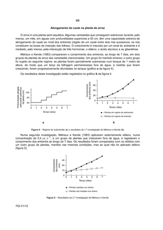 III

                              Alongamento do caule na planta do arroz

    O arroz é uma planta semi-aquática. Algumas variedades que conseguem sobreviver durante, pelo
menos, um mês, em águas com profundidades superiores a 50 cm, têm uma capacidade extrema de
alongamento do caule ao nível dos entrenós (região de um caule entre dois nós sucessivos; os nós
constituem os locais de inserção das folhas). O crescimento é induzido por um sinal do ambiente e é
mediado, pelo menos, pela interacção de três hormonas: o etileno, o ácido abcísico e as giberelinas.
     Métraux e Kende (1983) compararam o comprimento dos entrenós, ao longo de 7 dias, em dois
grupos de plantas de arroz das variedades mencionadas. Um grupo foi mantido emerso; o outro grupo
foi sujeito ao seguinte regime: as plantas foram parcialmente submersas num tanque de 1 metro de
altura, de modo que um terço da folhagem permanecesse fora de água; à medida que foram
crescendo, foram progressivamente afundadas no tanque (gráfico a da figura 4).
   Os resultados desta investigação estão registados no gráfico b da figura 4.




                      a                                                                    b

            Figura 4 – Regime de submersão (a) e resultados da 1.ª investigação de Métraux e Kende (b)

     Numa segunda investigação, Métraux e Kende (1983) aplicaram externamente etileno, numa
concentração de 0,4 µL L–1, a um grupo de plantas que cresceram fora de água, e registaram o
comprimento dos entrenós ao longo de 7 dias. Os resultados foram comparados com os obtidos com
um outro grupo de plantas, mantido nas mesmas condições, mas ao qual não foi aplicado etileno
(figura 5).




                          Figura 5 – Resultados da 2.ª investigação de Métraux e Kende


702.V1/12
 