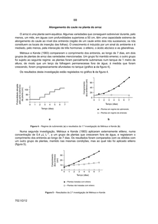 III

                              Alongamento do caule na planta do arroz

    O arroz é uma planta semi-aquática. Algumas variedades que conseguem sobreviver durante, pelo
menos, um mês, em águas com profundidades superiores a 50 cm, têm uma capacidade extrema de
alongamento do caule ao nível dos entrenós (região de um caule entre dois nós sucessivos; os nós
constituem os locais de inserção das folhas). O crescimento é induzido por um sinal do ambiente e é
mediado, pelo menos, pela interacção de três hormonas: o etileno, o ácido abcísico e as giberelinas.
     Métraux e Kende (1983) compararam o comprimento dos entrenós, ao longo de 7 dias, em dois
grupos de plantas de arroz das variedades mencionadas. Um grupo foi mantido emerso; o outro grupo
foi sujeito ao seguinte regime: as plantas foram parcialmente submersas num tanque de 1 metro de
altura, de modo que um terço da folhagem permanecesse fora de água; à medida que foram
crescendo, foram progressivamente afundadas no tanque (gráfico a da figura 4).
   Os resultados desta investigação estão registados no gráfico b da figura 4.




                              a                                                          b

            Figura 4 – Regime de submersão (a) e resultados da 1.ª investigação de Métraux e Kende (b)

     Numa segunda investigação, Métraux e Kende (1983) aplicaram externamente etileno, numa
concentração de 0,4 µL L–1, a um grupo de plantas que cresceram fora de água, e registaram o
comprimento dos entrenós ao longo de 7 dias. Os resultados foram comparados com os obtidos com
um outro grupo de plantas, mantido nas mesmas condições, mas ao qual não foi aplicado etileno
(figura 5).




                          Figura 5 – Resultados da 2.ª investigação de Métraux e Kende


702.V2/12
 