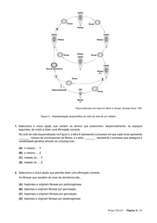 Figura elaborada com base em Storer e Usinger, Zoologia Geral, 1991


                     Figura 3 – Representação esquemática do ciclo de vida de um rotífero.



1. Seleccione a única opção que contém os termos que preenchem, sequencialmente, os espaços
   seguintes, de modo a obter uma afirmação correcta.
   No ciclo de vida esquematizado na Figura 3, a letra X representa o processo em que cada óvulo apresenta
   _______ número de cromossomas da fêmea, e a letra _______ representa o processo que assegura a
   variabilidade genética através do crossing-over.

   (A) o mesmo … Y
   (B) o mesmo … Z
   (C) metade do … Y
   (D) metade do … Z


2. Seleccione a única opção que permite obter uma afirmação correcta.
   As fêmeas que resultam de ovos de dormência são…

   (A) haplontes e originam fêmeas por partenogénese.
   (B) diplontes e originam fêmeas por gemulação.
   (C) haplontes e originam fêmeas por gemulação.
   (D) diplontes e originam fêmeas por partenogénese.



                                                                                    Prova 702.V1 • Página 5/ 16
 