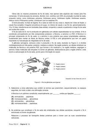 GRUPO II


    Vários são os insectos produtores de fio de seda, mas apenas sete espécies são criadas para fins
comerciais. O bicho-da-seda da amoreira, Bombix mori, contribui com 95% da produção mundial de seda,
enquanto outros, como Antheraea yamamai, Antheraea pernyi, Antheraea mylitta, Antheraea assama,
Atlacus ricini e Philosamia cynthia, contribuem com os restantes 5%.
    O bicho-da-seda, na fase de lagarta, fia a seda ao redor do seu corpo e, depois de 3 dias de fiação, o
casulo fica completo. A lagarta converte-se em pupa, no interior do casulo, e ao fim de, aproximadamente,
10 a 12 dias, transforma-se em borboleta (fase adulta), rompendo o casulo e quebrando o longo fio de seda
em muitos fios curtos.
    O fio de seda de B. mori é produzido em glândulas com células especializadas na sua síntese. O fio é
constituído principalmente por três componentes proteicos: a fibroína, a sericina e a P25. A fibroína é o
principal componente do fio de seda, e a sericina é uma proteína que possui propriedades adesivas,
fundamental para manter as fibras de fibroína unidas. A P25 é uma glicoproteína que tem um papel
importante na manutenção da integridade do fio de seda.
    A glândula sericígena, estrutura onde é produzida o fio de seda, ilustrada na Figura 2, é dividida
morfologicamente em três partes: posterior, mediana e anterior. Na região posterior, as células sintetizam as
moléculas de fibroína e de proteína P25, que formam o fio insolúvel e, na região mediana, segregam a
sericina. Estas moléculas são lançadas no lúmen da glândula, deslocando-se para a região anterior, onde
ocorre a estruturação do fio de seda, pronto para a formação do casulo.




                                                                                Adaptado de http://www.dbc.uem.br

                                    Figura 2 – Par de glândulas sericígenas


1. Seleccione a única alternativa que contém os termos que preenchem, sequencialmente, os espaços
   seguintes, de modo a obter uma afirmação correcta.

   A fibroína é um polímero constituído, essencialmente, por _______ unidos por ligações _______.

   (A)   aminoácidos … peptídicas
   (B)   monossacarídeos … glicosídicas
   (C)   aminoácidos … glicosídicas
   (D)   monossacarídeos … peptídicas



2. As proteínas que constituem o fio de seda são sintetizadas nas células secretoras, enquanto o fio é
   estruturado no lúmen da glândula.

   Relacione o processo de transporte destas proteínas para o lúmen com as suas características
   estruturais.


Prova 702.V1 • Página 8/ 16
 