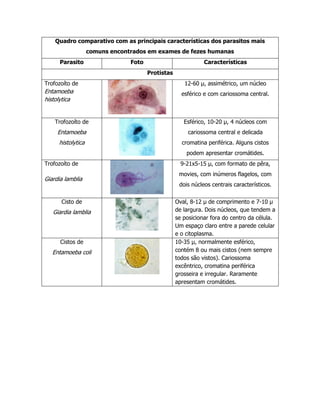 Quadro comparativo com as principais características dos parasitos mais
                   comuns encontrados em exames de fezes humanas
      Parasito                  Foto                          Características
                                       Protistas
Trofozoíto de                                         12-60 µ, assimétrico, um núcleo
Entamoeba                                            esférico e com cariossoma central.
histolytica


    Trofozoíto de                                     Esférico, 10-20 µ, 4 núcleos com
     Entamoeba                                          cariossoma central e delicada
     histolytica                                     cromatina periférica. Alguns cistos
                                                       podem apresentar cromátides.
Trofozoíto de                                        9-21x5-15 µ, com formato de pêra,
                                                    movies, com inúmeros flagelos, com
Giardia lamblia
                                                    dois núcleos centrais característicos.

      Cisto de                                     Oval, 8-12 µ de comprimento e 7-10 µ
   Giardia lamblia                                 de largura. Dois núcleos, que tendem a
                                                   se posicionar fora do centro da célula.
                                                   Um espaço claro entre a parede celular
                                                   e o citoplasma.
      Cistos de                                    10-35 µ, normalmente esférico,
   Entamoeba coli                                  contém 8 ou mais cistos (nem sempre
                                                   todos são vistos). Cariossoma
                                                   excêntrico, cromatina periférica
                                                   grosseira e irregular. Raramente
                                                   apresentam cromátides.
 