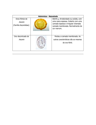 Helmintos - Nematoda
   Ovos férteis de                     60x45 µ, Arredondado ou ovóide, com
       Ascaris                         uma casca espessa. Coberto com uma
                                       camada espessa e irregular chamada
(Família Ascarididae)
                                       camada mamilonada. Normalmente de
                                       cor marrom.



 Ovo decorticado de                       Perdeu a camada mamilonada. As
       Ascaris                           outras características são as mesmas
                                                    do ovo fértil.
 