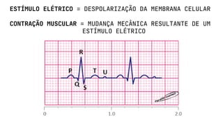 ESTÍMULO ELÉTRICO = DESPOLARIZAÇÃO DA MEMBRANA CELULAR
CONTRAÇÃO MUSCULAR = MUDANÇA MECÂNICA RESULTANTE DE UM
ESTÍMULO ELÉTRICO
 