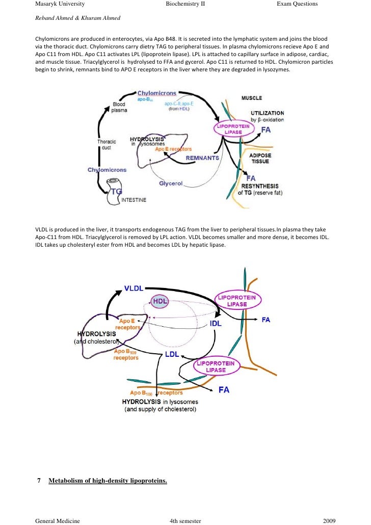 BIOCHEMISTRY II EXAM ANSWERS
