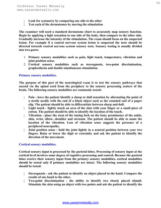 PDF) Neurological examination in healthy chinchillas (Chinchilla lanigera)