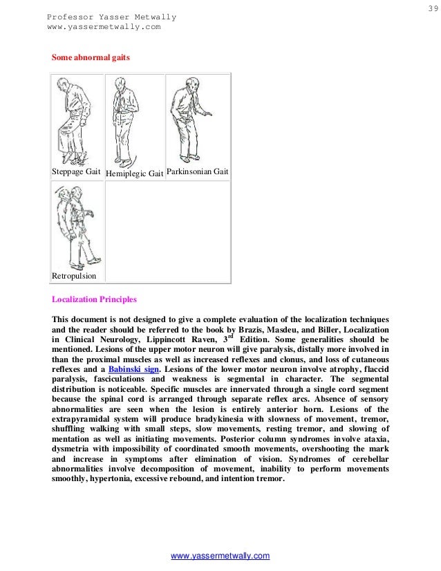 pdf der naturwissenschaftliche unterricht insbesondere