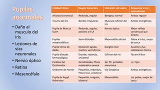 • Daño al
musculo del
iris
• Lesiones de
vías
neuronales
• Nervio óptico
• Retina
• Mesencéfalo
Entidad Clínica Rasgos Generales Ubicación de Lesión Respuesta a luz y
estimulación
Anisocoria esencial Redonda, regular Benigno, normal Ambos regular
Trauma del iris Bordes irregulares Musculo esfínter del
iris
Ambos energéticos
Pupila de Marcus
Gunn
Redonda, regular,
positivo al TLA
Nervio óptico Mejor reflejo
consensual que
directo
Pupilas
mesencefálicas
Semi-dilatadas Mesencéfalo dorsal Pobre a la luz, mejor
de cerca
Pupila tónica de
Addie
Dilatación aguda,
miotica, vermiforme
Ganglio ciliar Ausente a luz,
redilatacion tónica
Pupila dilatada
farmacológica
Grande, redonda,
unilateral
Esfínter del iris Fija en 8-9cm
Parálisis del
Oculomotor
Semidilatada, Ptosis
moderada a severa
3er PC, probable
aneurisma
+/- Fijos
Síndrome de Horner Pequeños, redondos,
Ptosis leve, unilateral
Vía Simpática Ambos energéticos
Pupila de Argyll
Robertson
Pequeñas, irregular,
bilateral
Mesencéfalo Luz pobre, mejor de
cerca
 