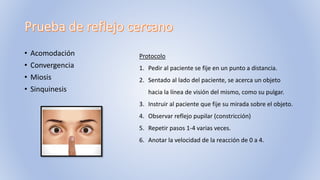 • Acomodación
• Convergencia
• Miosis
• Sinquinesis
Protocolo
1. Pedir al paciente se fije en un punto a distancia.
2. Sentado al lado del paciente, se acerca un objeto
hacia la línea de visión del mismo, como su pulgar.
3. Instruir al paciente que fije su mirada sobre el objeto.
4. Observar reflejo pupilar (constricción)
5. Repetir pasos 1-4 varias veces.
6. Anotar la velocidad de la reacción de 0 a 4.
 