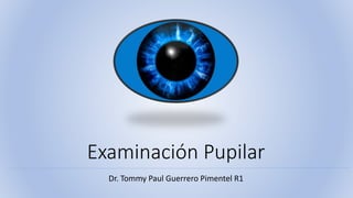 Examinación Pupilar
Dr. Tommy Paul Guerrero Pimentel R1
 