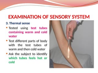 -all Examination-of-Sensory-System.pptx