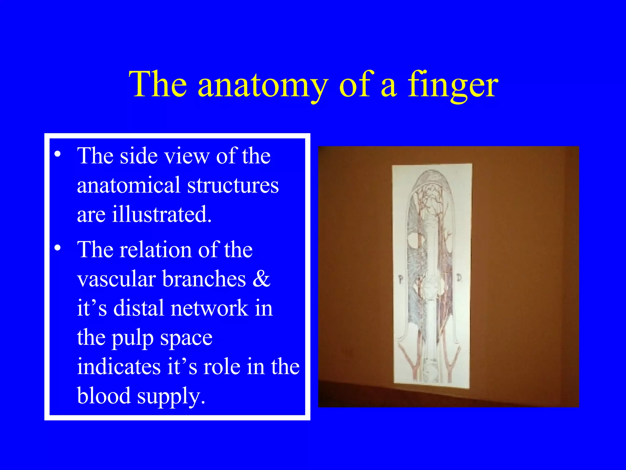 Examination Of The Hand & Wrist | PPT