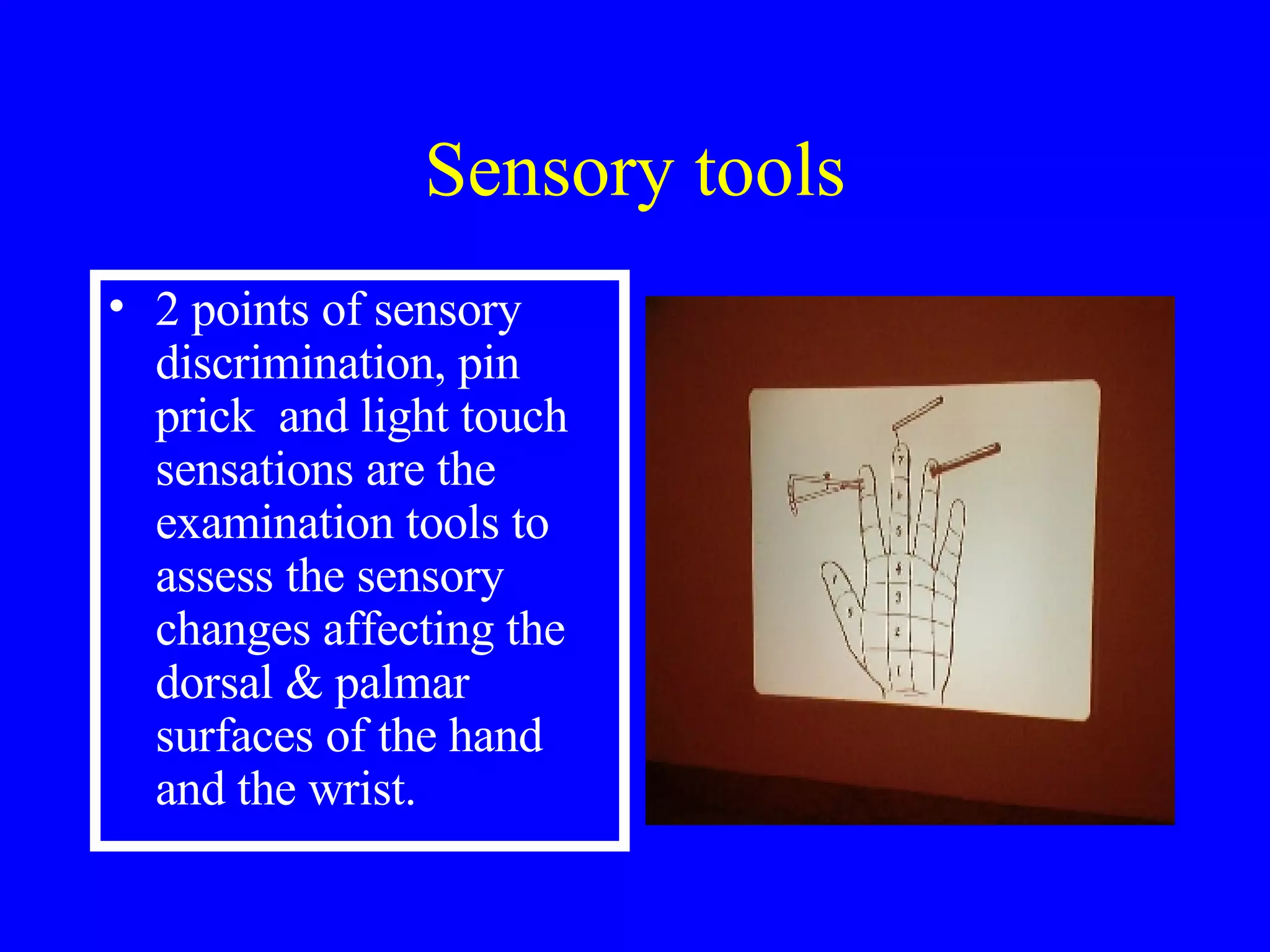 Examination Of The Hand & Wrist | PPT