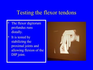 Tendon Testing Hand Examination Of The Hand & Wrist | PPT