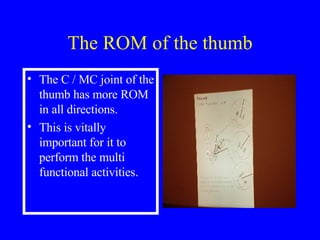 Examination Of The Hand & Wrist | PPT