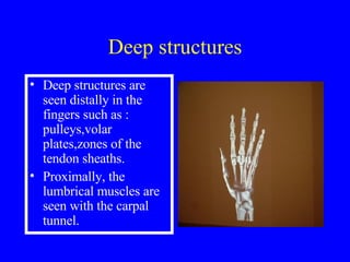 Examination Of The Hand & Wrist | PPT