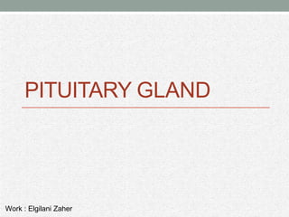 PITUITARY GLAND
Work : Elgilani Zaher
 