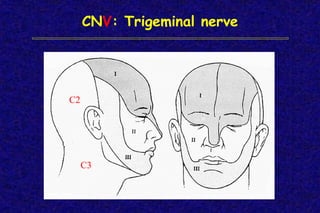 Examination nervous system | PDF