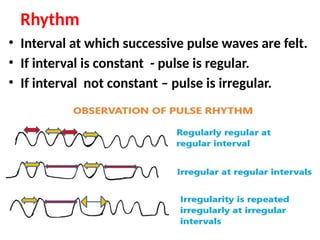Examination of arterial and venous pulse Mbbs physiology.pptx