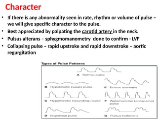 Examination of arterial and venous pulse Mbbs physiology.pptx